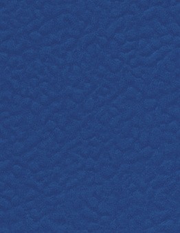 Линолеум Recreation 60 Uni